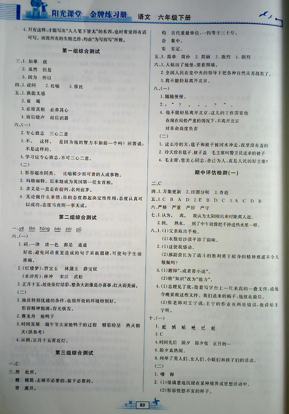 2018年陽光課堂金牌練習(xí)冊六年級語文下冊人教版 第6頁