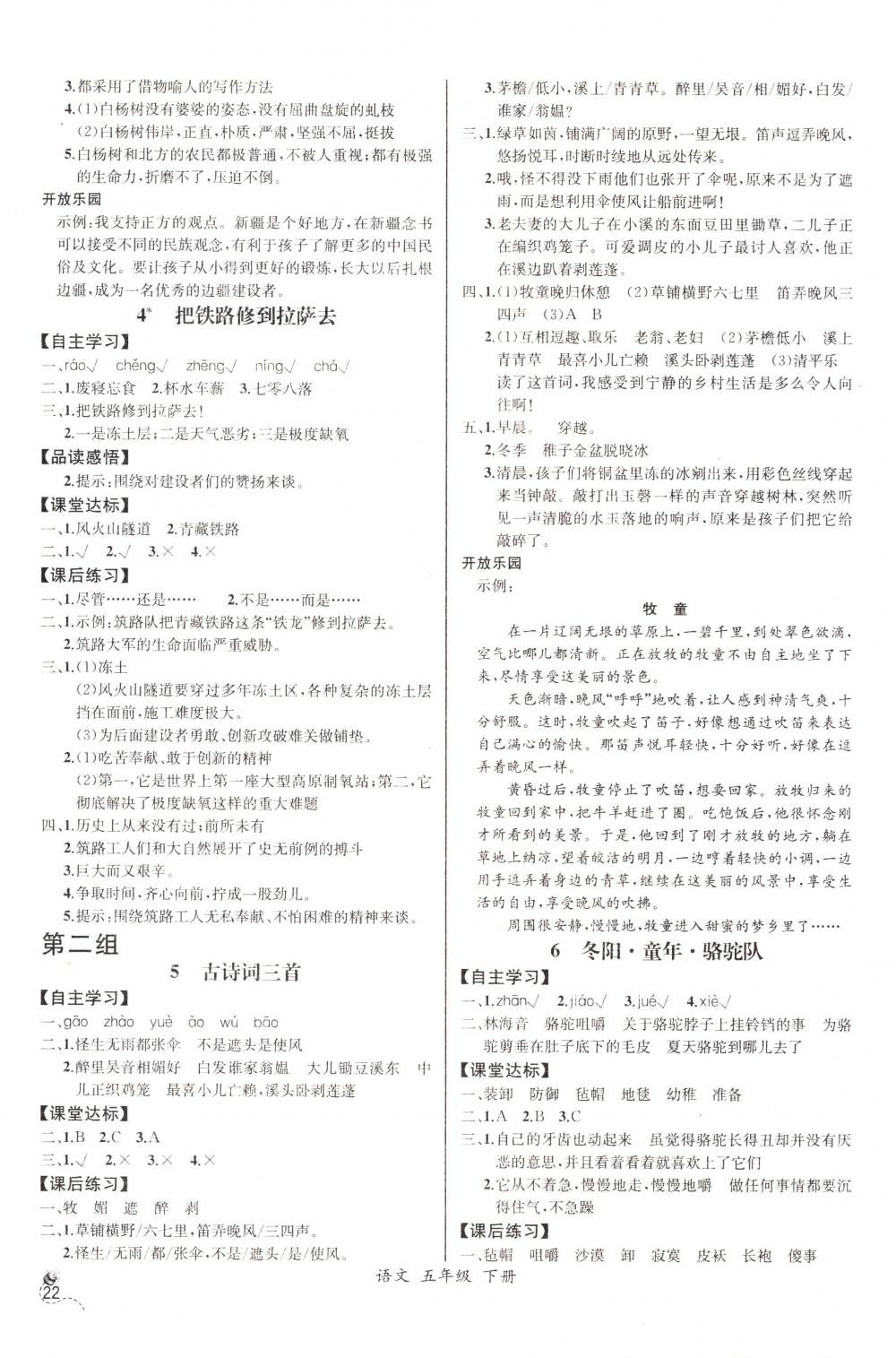 2018年同步导学案课时练五年级语文下册人教版河北专版 第2页