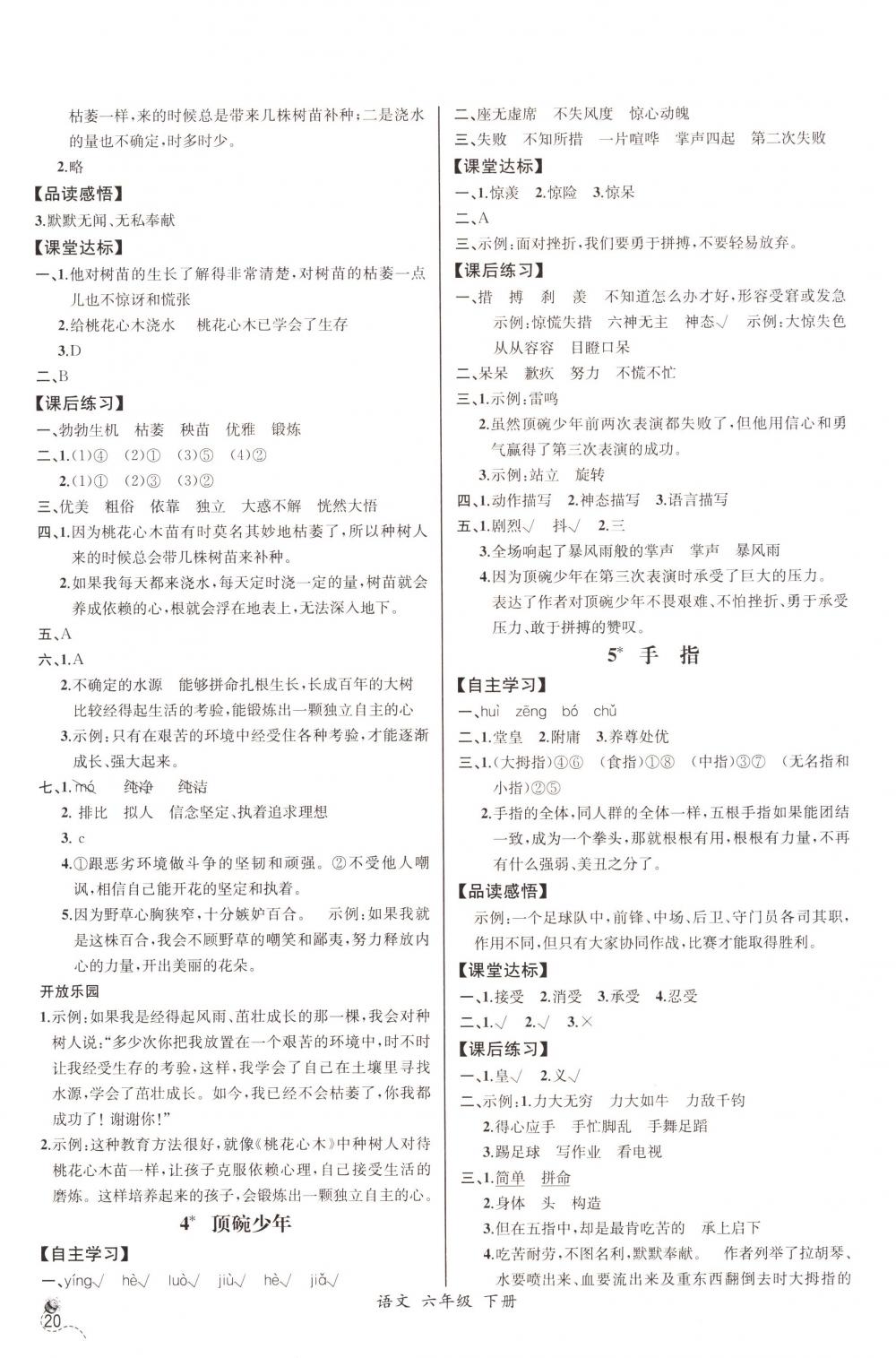 2018年同步导学案课时练六年级语文下册人教版河北专版 第2页