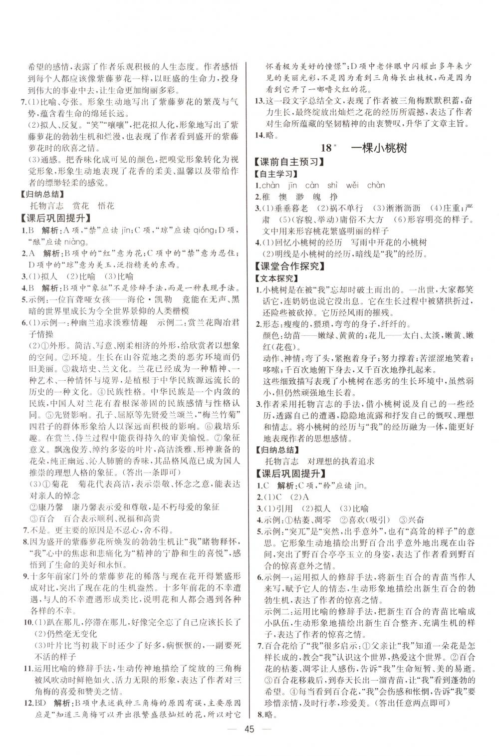 2018年同步導(dǎo)學(xué)案課時練七年級語文下冊人教版河北專版 第13頁