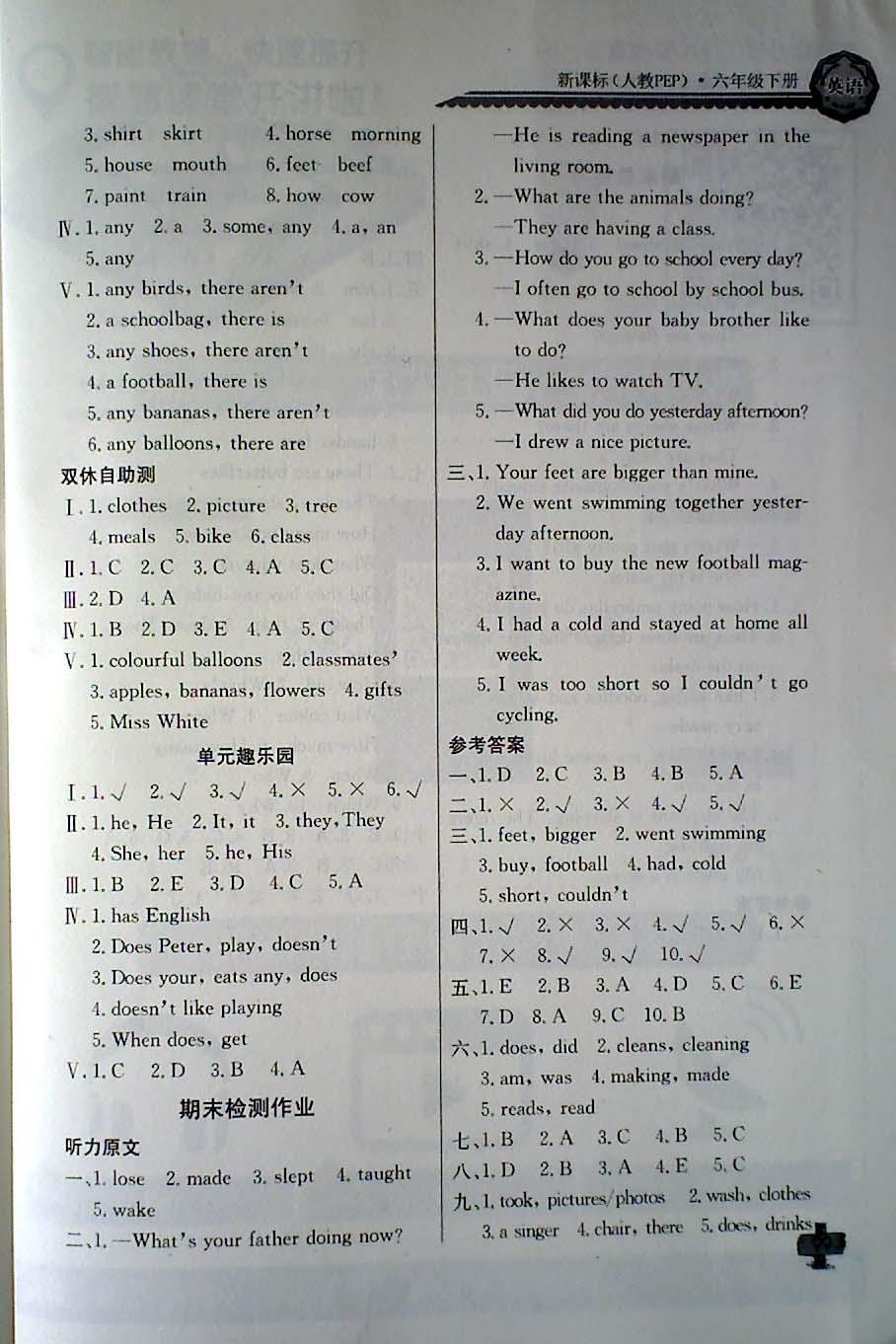 2018年長(zhǎng)江全能學(xué)案同步練習(xí)冊(cè)六年級(jí)英語(yǔ)下冊(cè)人教PEP版 第8頁(yè)