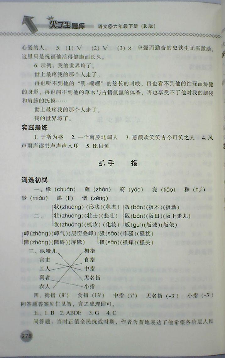 2018年尖子生題庫六年級語文下冊人教版 第6頁