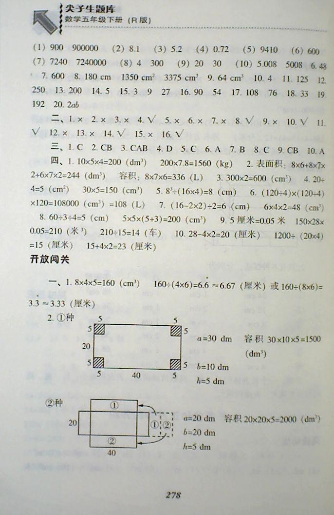 2018年尖子生题库五年级数学下册人教版 第11页