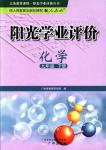 2018年陽光學(xué)業(yè)評價九年級化學(xué)下冊人教版