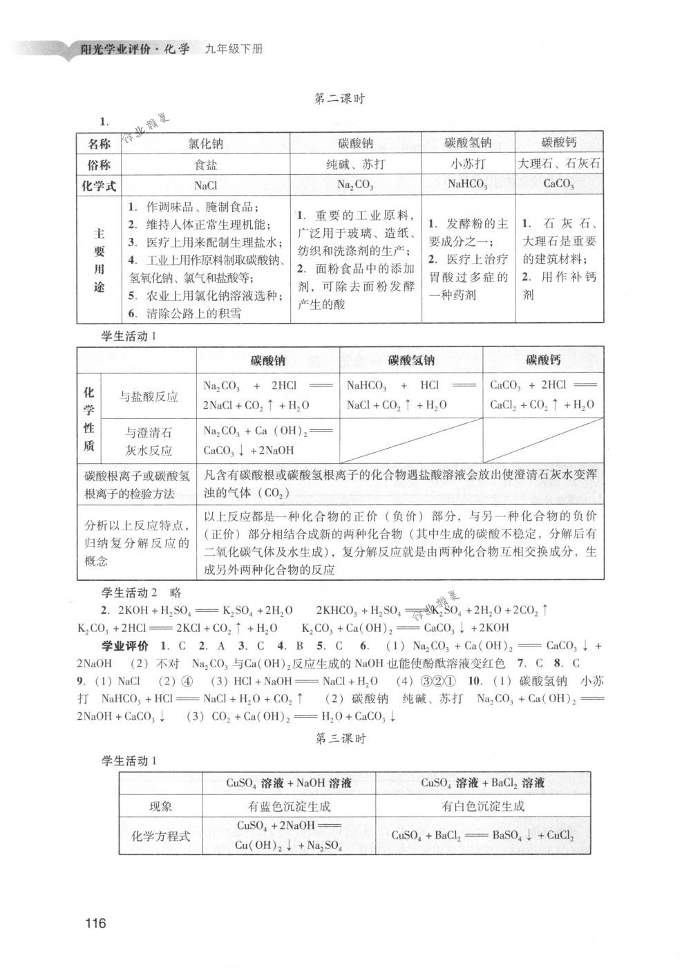 2018年陽光學業(yè)評價九年級化學下冊人教版 第13頁