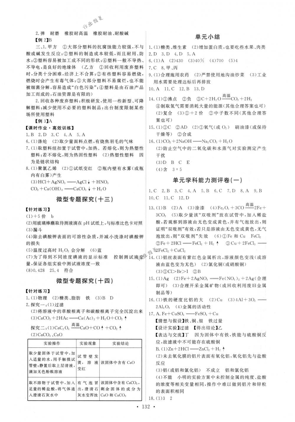 2018年能力培养与测试九年级化学下册人教版 第18页