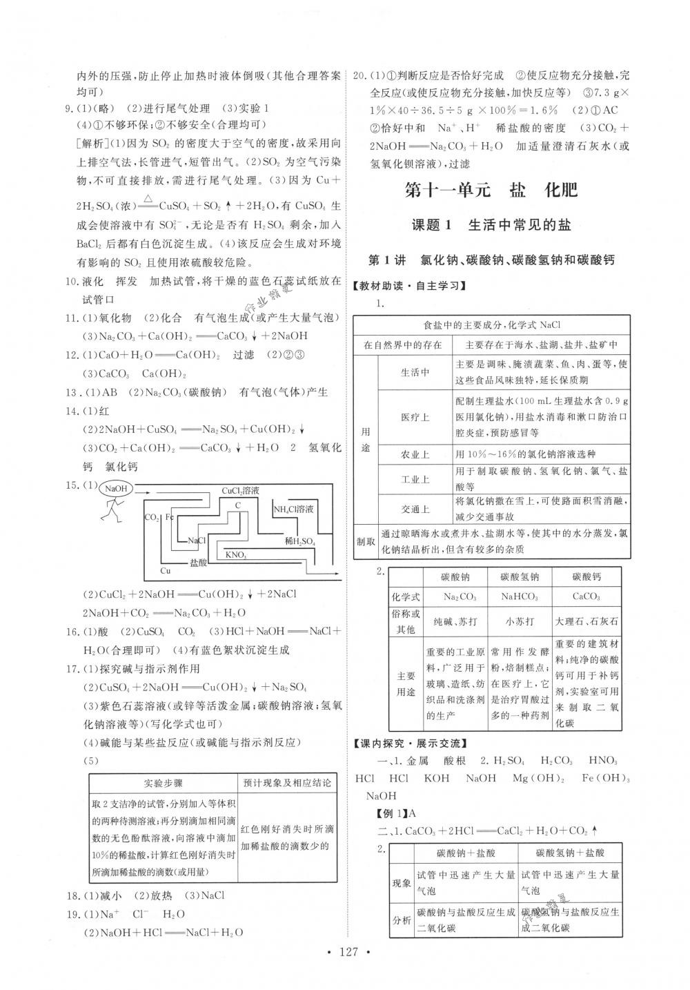 2018年能力培养与测试九年级化学下册人教版 第13页