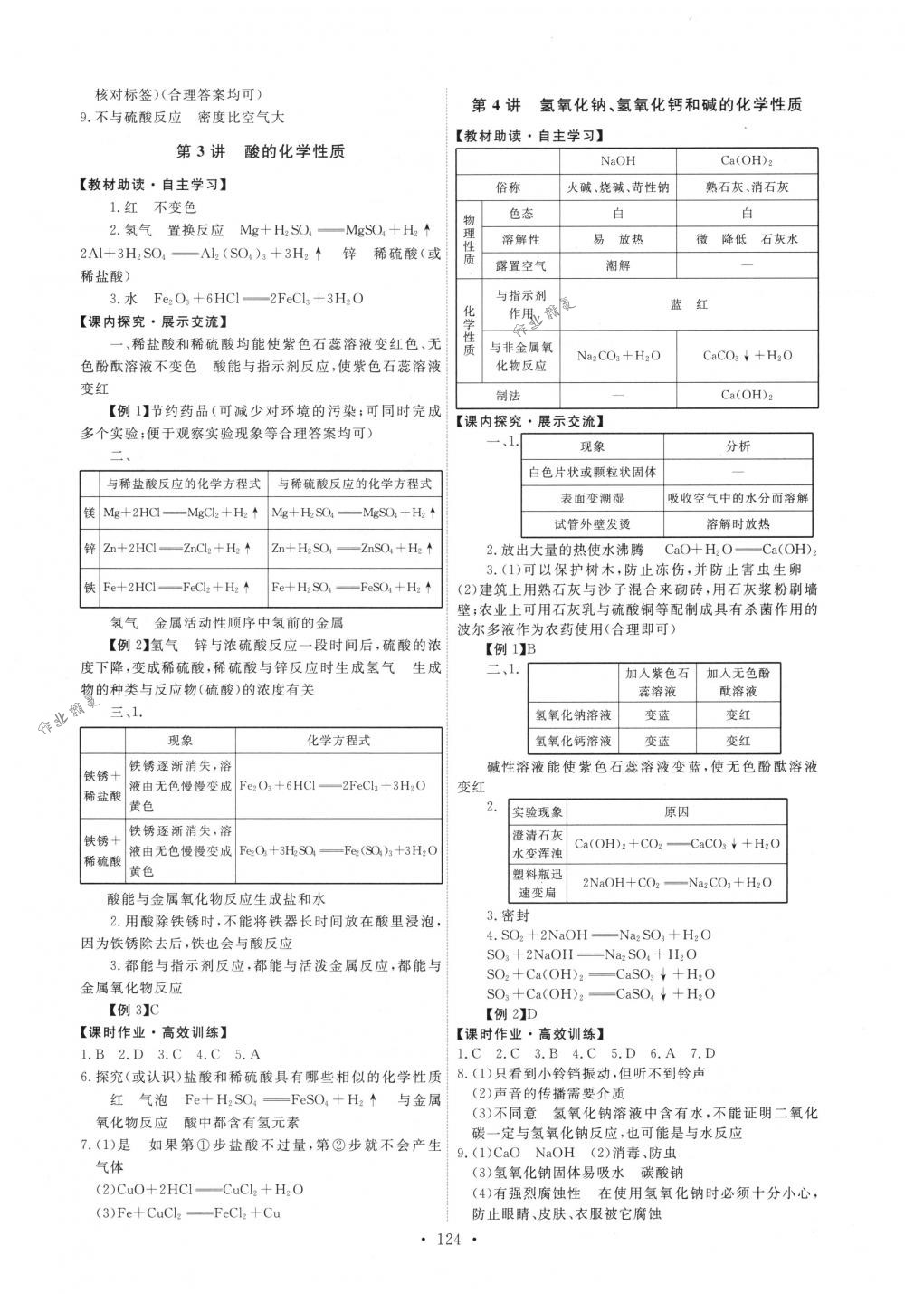 2018年能力培养与测试九年级化学下册人教版 第10页