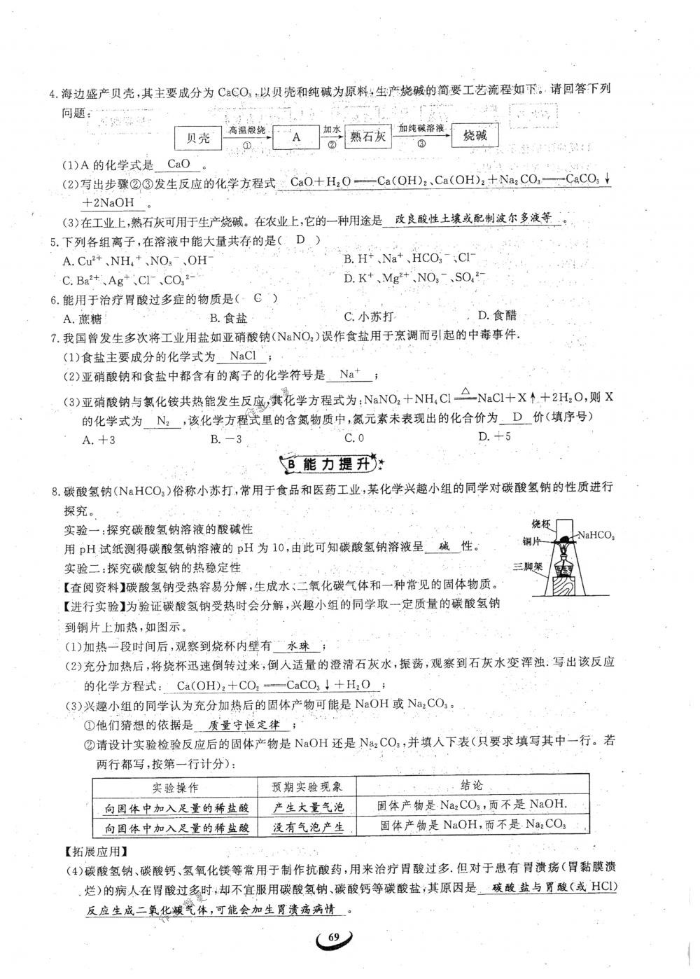 2018年思維新觀察九年級(jí)化學(xué)下冊(cè)人教版 參考答案第69頁(yè)