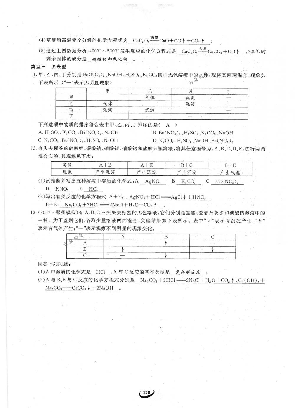 2018年思維新觀察九年級(jí)化學(xué)下冊(cè)人教版 參考答案第120頁