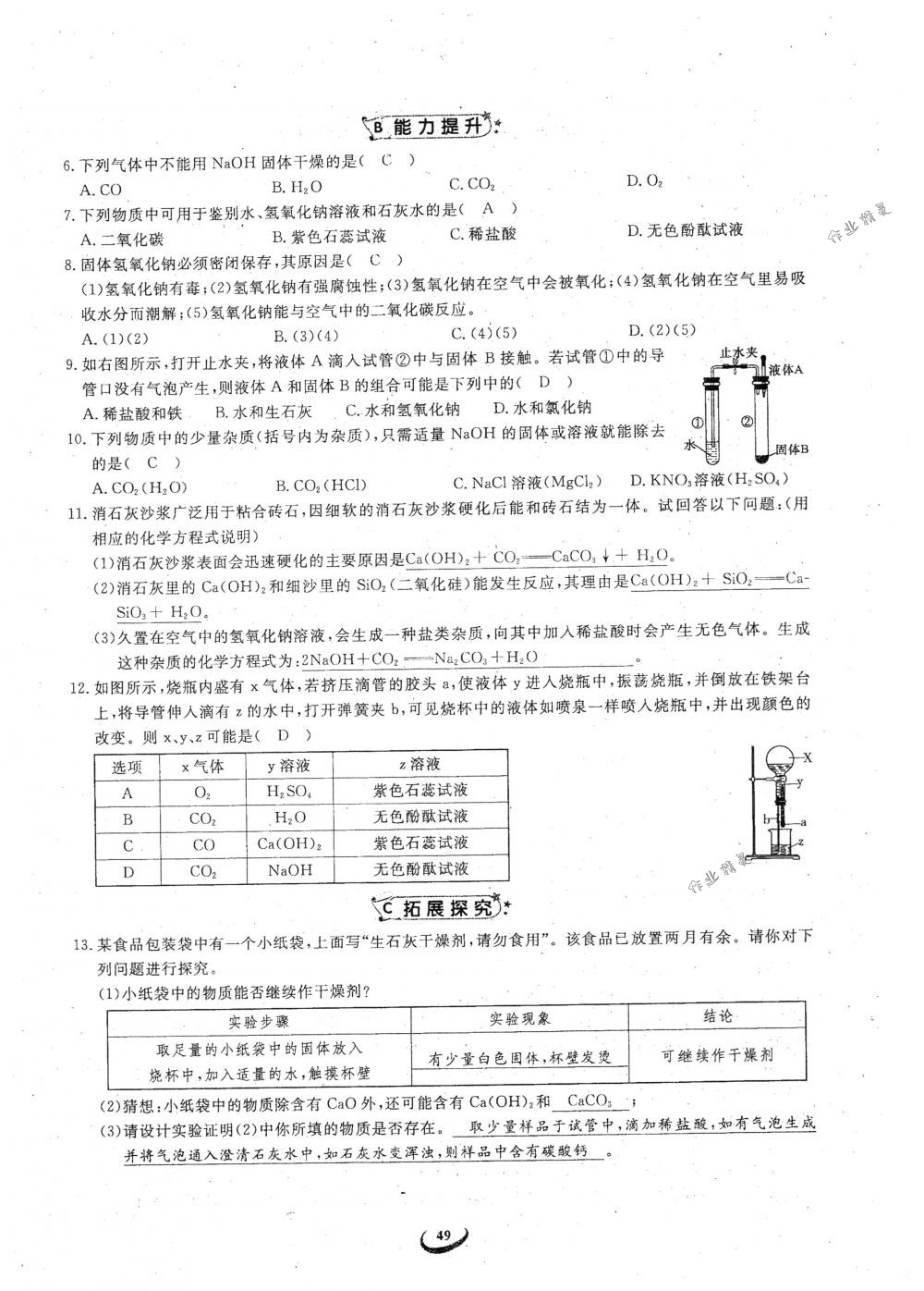 2018年思維新觀察九年級(jí)化學(xué)下冊(cè)人教版 參考答案第49頁