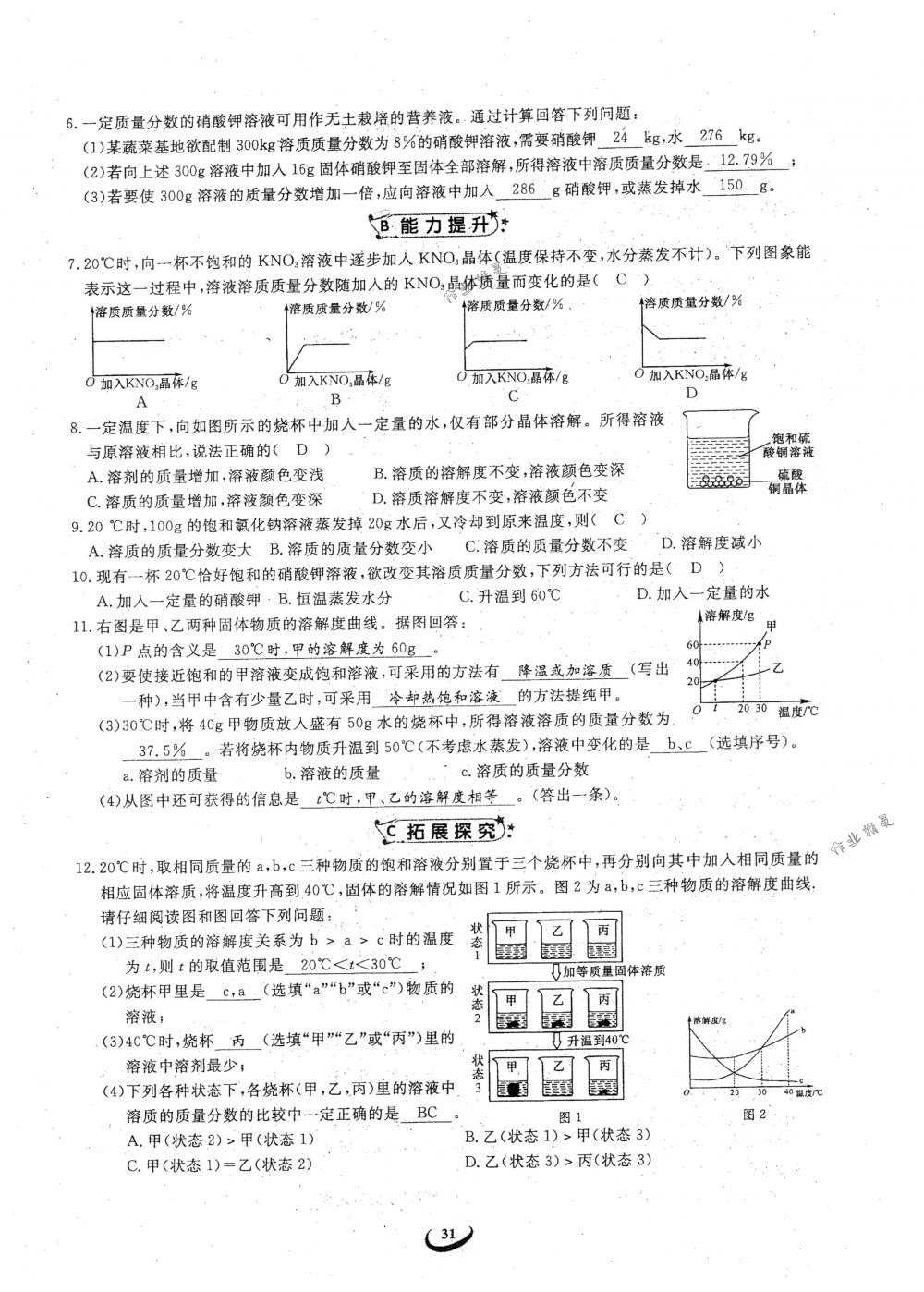 2018年思維新觀察九年級(jí)化學(xué)下冊(cè)人教版 參考答案第31頁