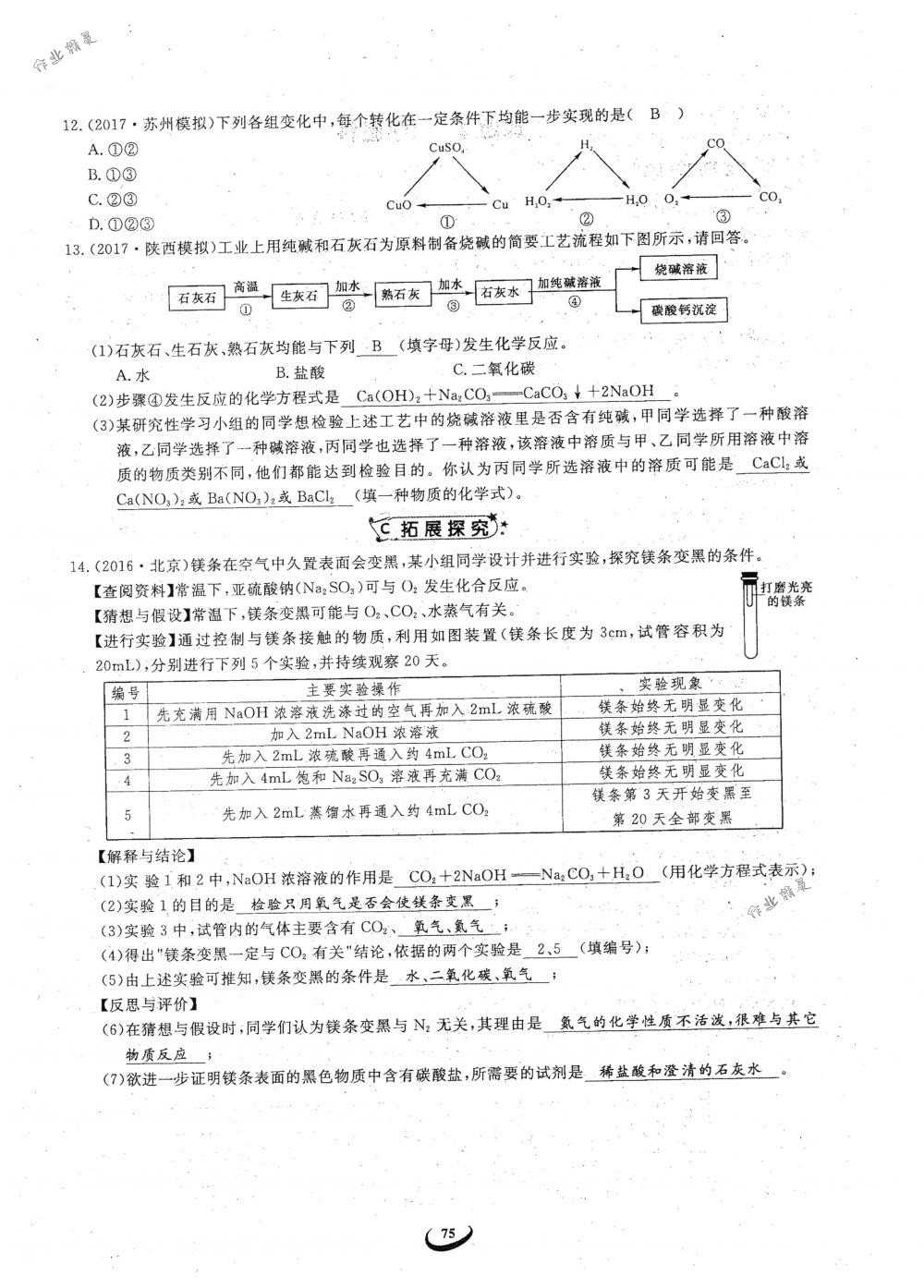 2018年思維新觀察九年級化學(xué)下冊人教版 參考答案第75頁