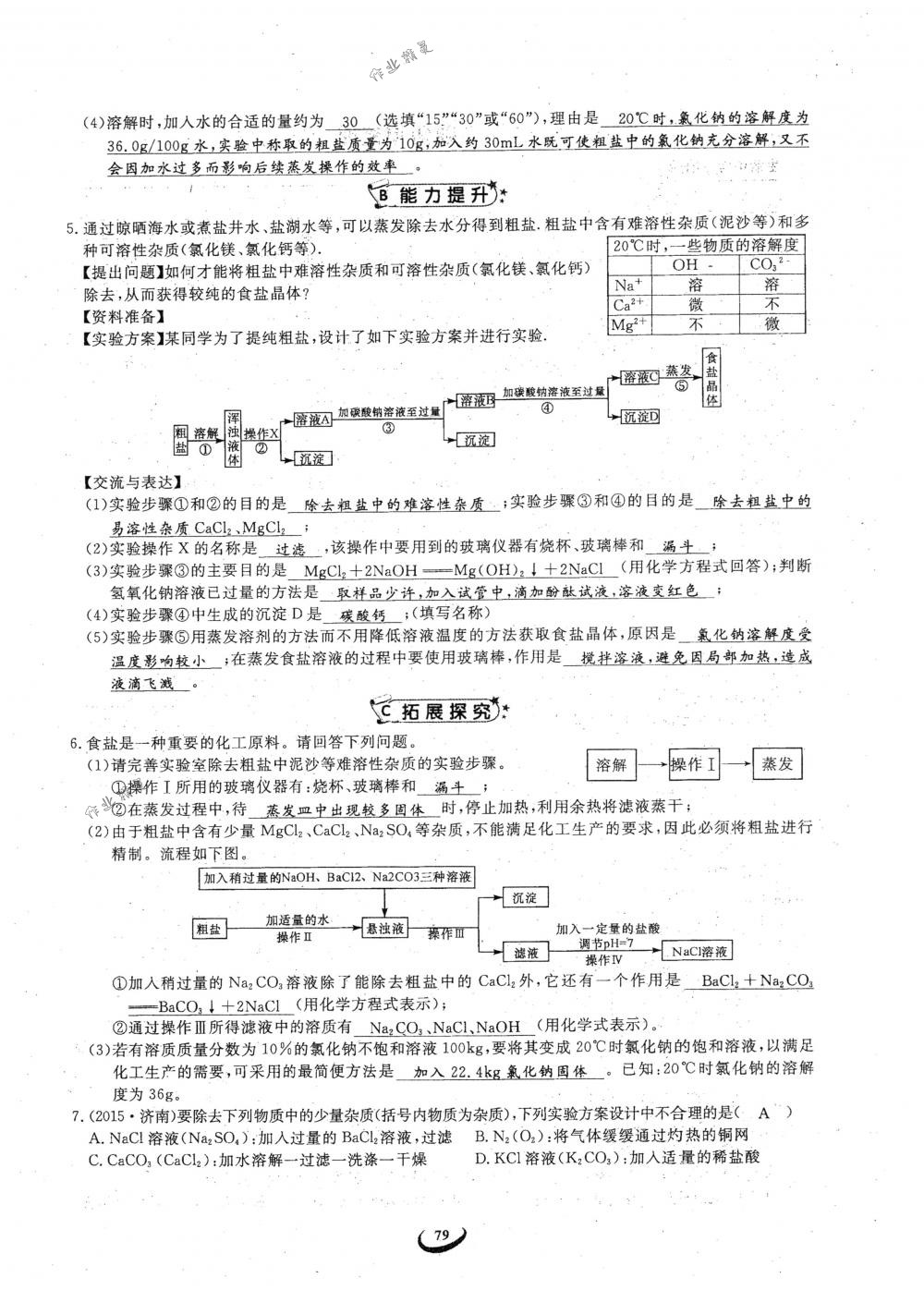 2018年思維新觀察九年級(jí)化學(xué)下冊(cè)人教版 參考答案第79頁