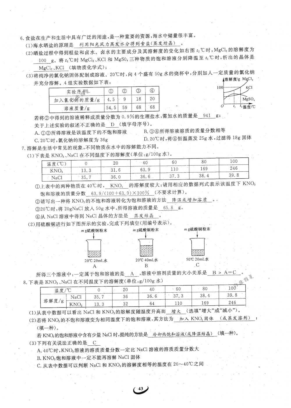 2018年思維新觀察九年級化學(xué)下冊人教版 參考答案第43頁