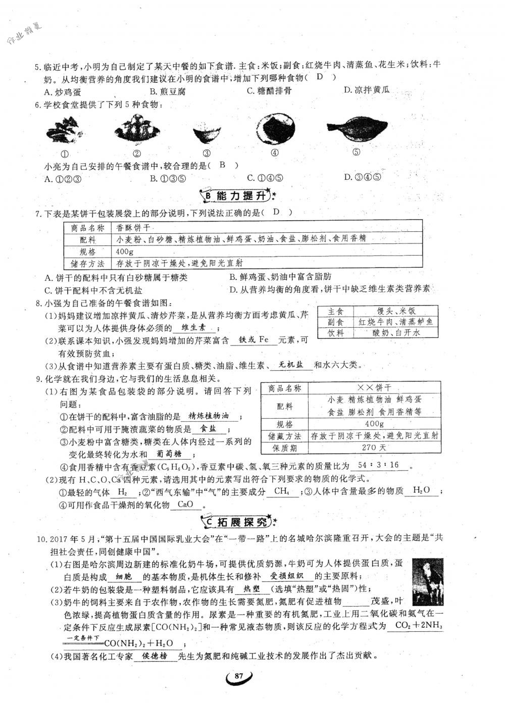 2018年思維新觀察九年級(jí)化學(xué)下冊(cè)人教版 參考答案第87頁