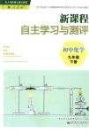 2018年新課程自主學(xué)習(xí)與測評九年級化學(xué)下冊人教版