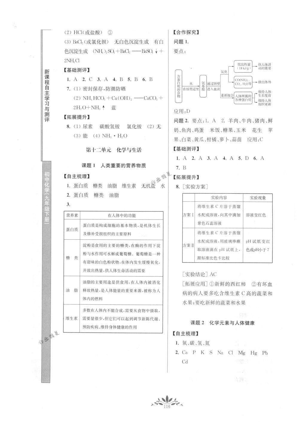 2018年新课程自主学习与测评九年级化学下册人教版 第8页