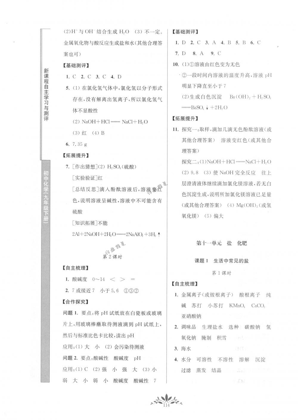 2018年新课程自主学习与测评九年级化学下册人教版 第6页