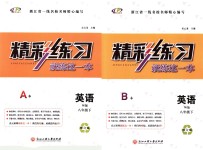 2018年精彩練習(xí)就練這一本八年級英語下冊外研版