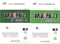 2018年精彩練習(xí)就練這一本八年級數(shù)學(xué)下冊浙教版