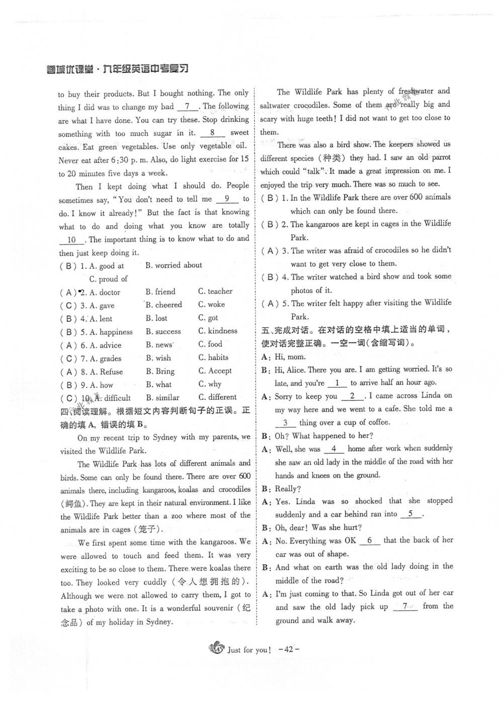 2018年蓉城優(yōu)課堂給力A+九年級(jí)英語(yǔ)下冊(cè)人教版 第42頁(yè)