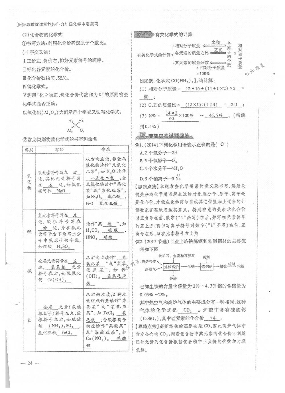 2018年蓉城优课堂给力A+九年级化学下册人教版 第24页