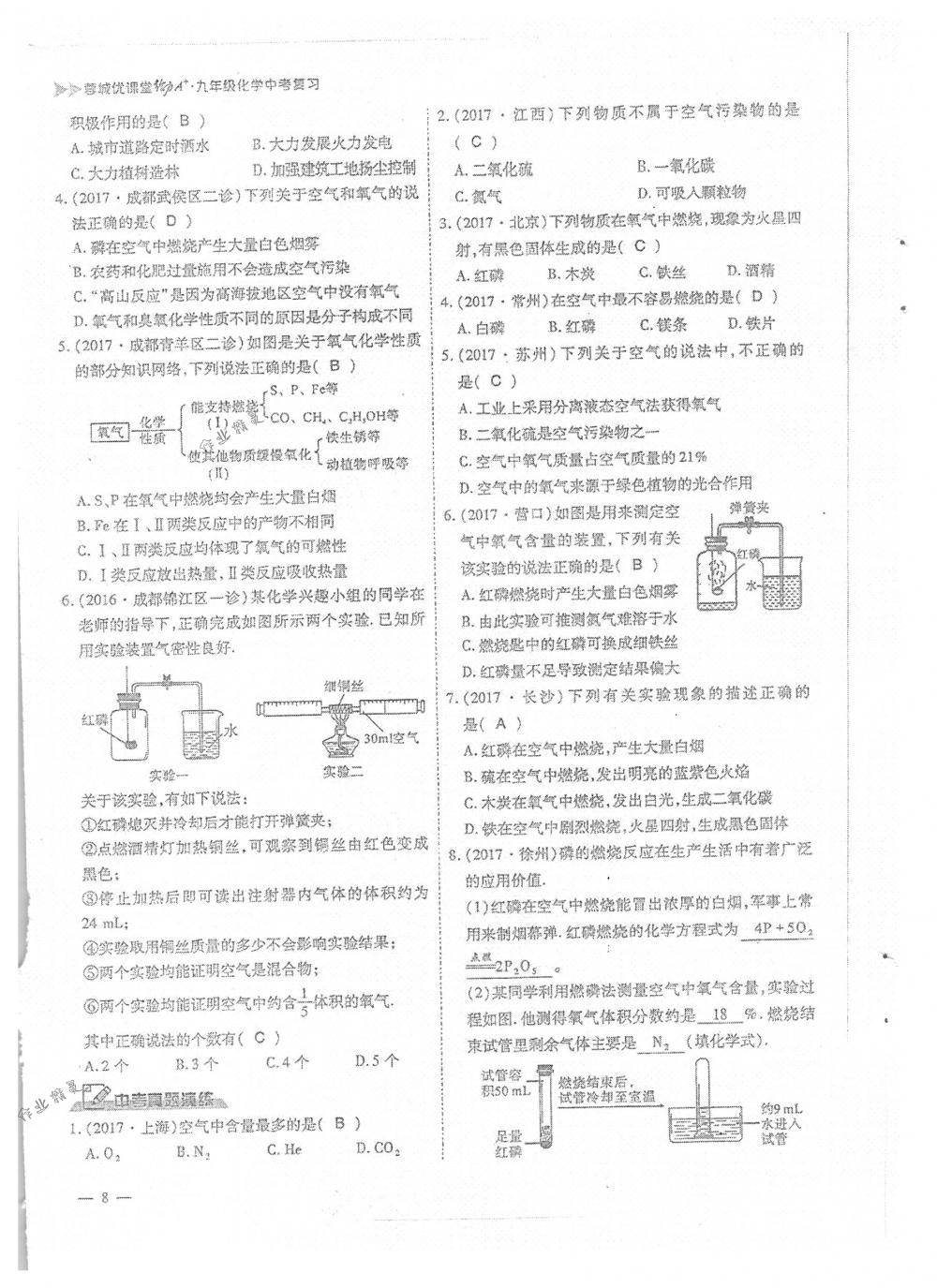 2018年蓉城优课堂给力A+九年级化学下册人教版 第8页