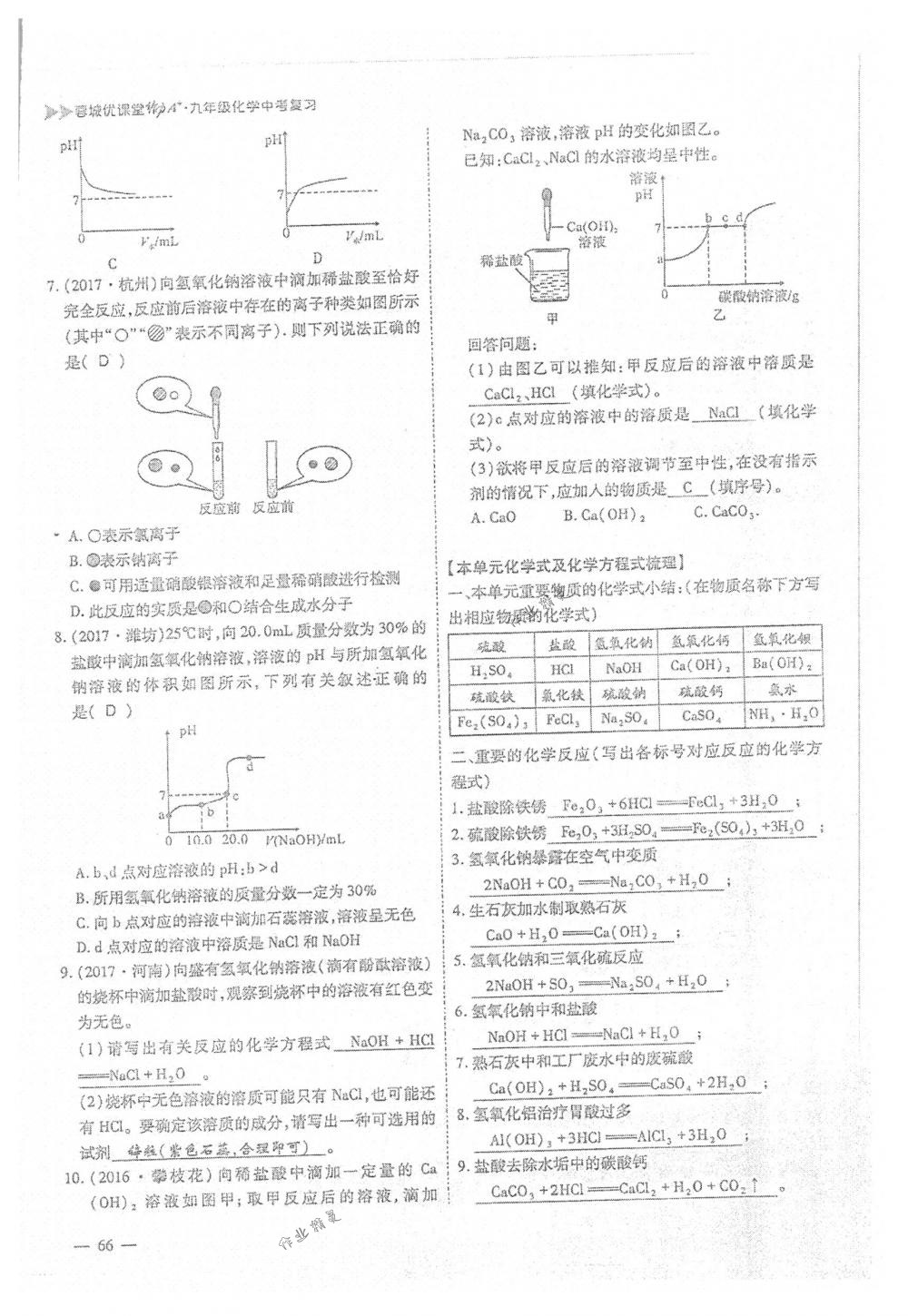 2018年蓉城优课堂给力A+九年级化学下册人教版 第66页