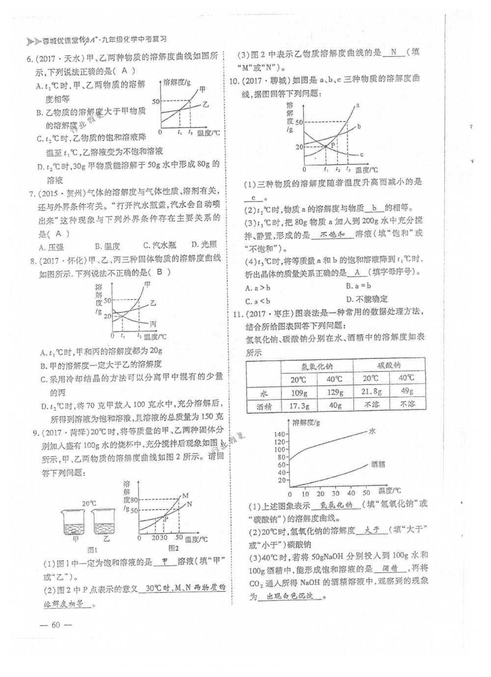 2018年蓉城优课堂给力A+九年级化学下册人教版 第60页