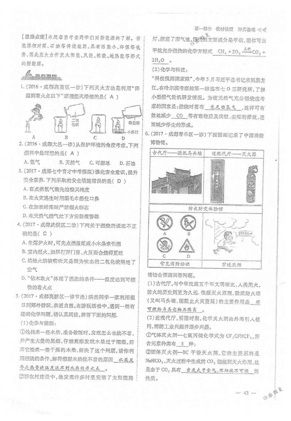 2018年蓉城优课堂给力A+九年级化学下册人教版 第43页