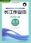 2018年長江作業(yè)本同步練習(xí)冊八年級數(shù)學(xué)下冊人教版