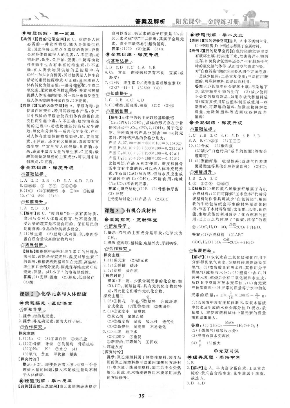 2018年陽光課堂金牌練習冊九年級化學下冊人教版 第11頁