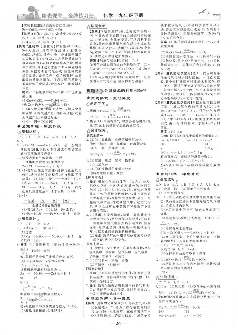 2018年陽光課堂金牌練習冊九年級化學(xué)下冊人教版 第2頁