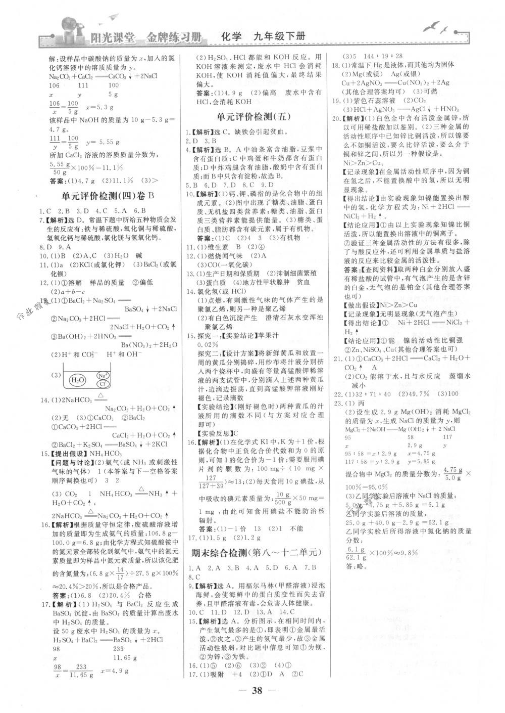 2018年陽光課堂金牌練習(xí)冊九年級化學(xué)下冊人教版 第14頁