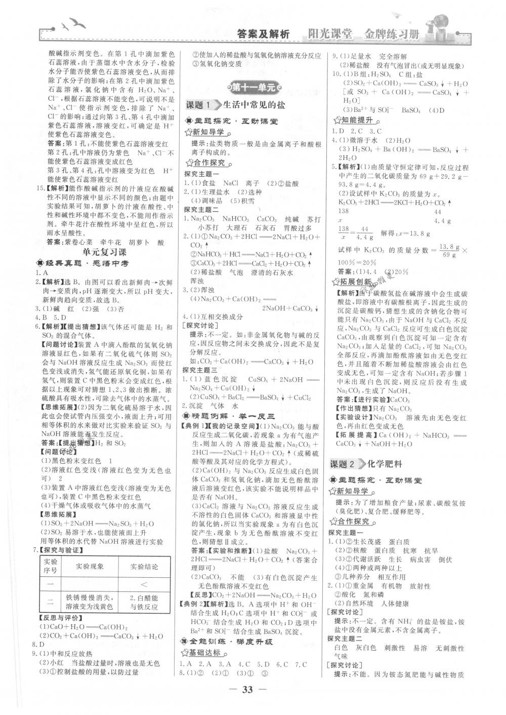 2018年陽光課堂金牌練習(xí)冊九年級(jí)化學(xué)下冊人教版 第9頁