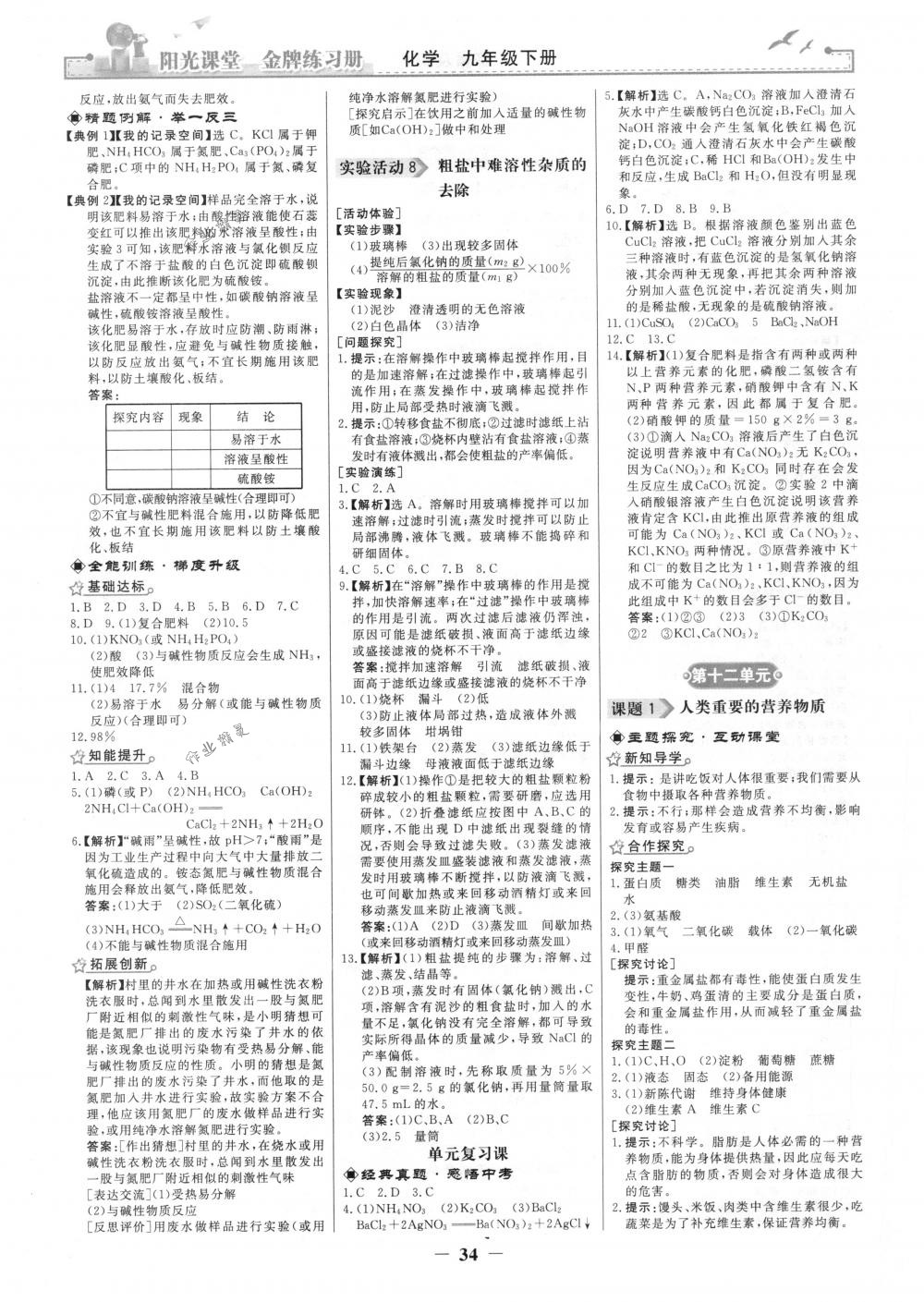 2018年陽光課堂金牌練習(xí)冊(cè)九年級(jí)化學(xué)下冊(cè)人教版 第10頁