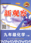 2018年思維新觀察九年級化學(xué)下冊人教版