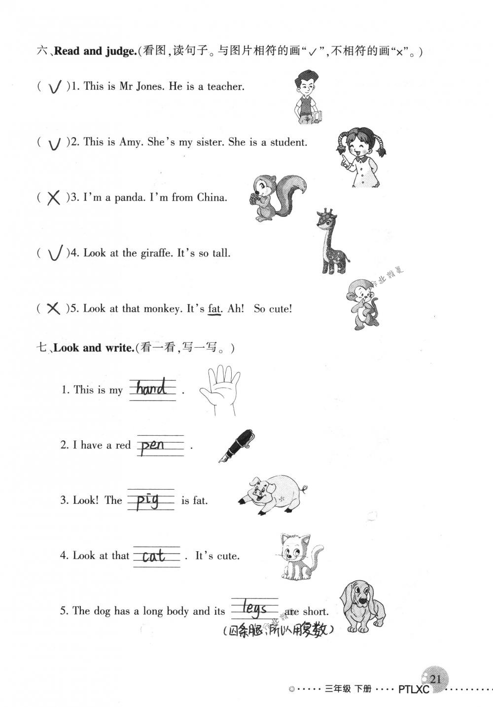 2019年配套練習(xí)冊(cè)人民教育出版社三年級(jí)英語(yǔ)下冊(cè)人教版 第21頁(yè)