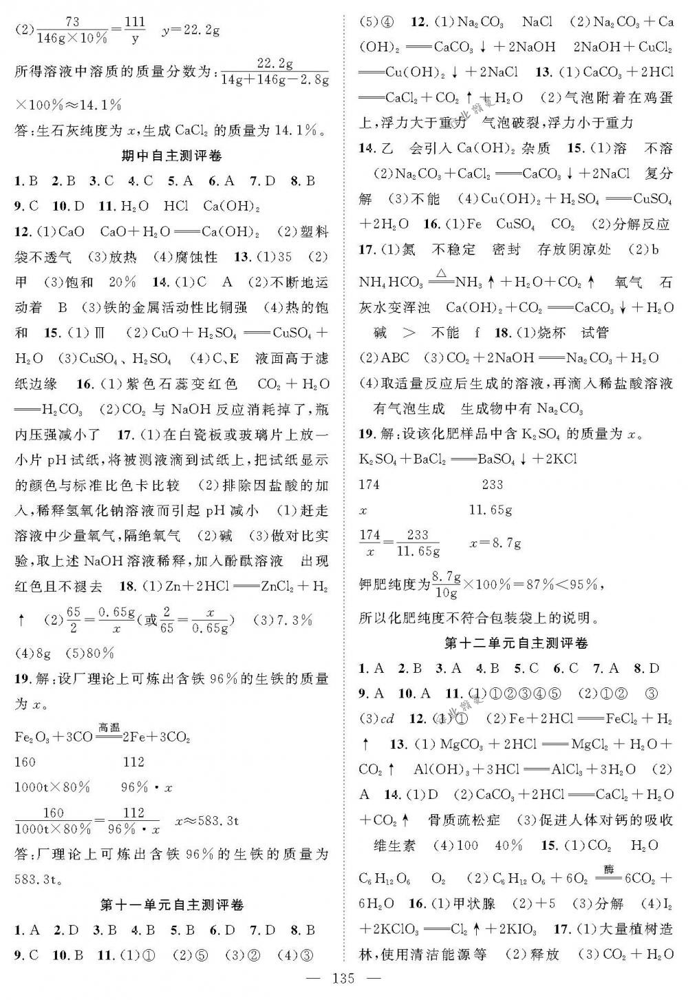 2018年優(yōu)質(zhì)課堂導(dǎo)學(xué)案九年級(jí)化學(xué)下冊(cè)人教版 第15頁(yè)