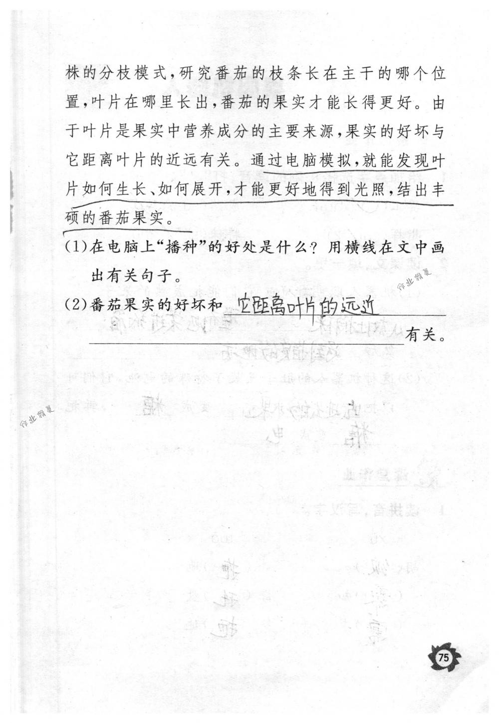 2018年課堂作業(yè)本三年級語文下冊人教版江西教育出版社 第75頁