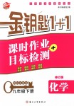 2018年金鑰匙1+1課時作業(yè)加目標檢測九年級化學下冊國標全國版