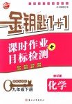 2018年金鑰匙1+1課時(shí)作業(yè)加目標(biāo)檢測九年級化學(xué)下冊國標(biāo)全國版