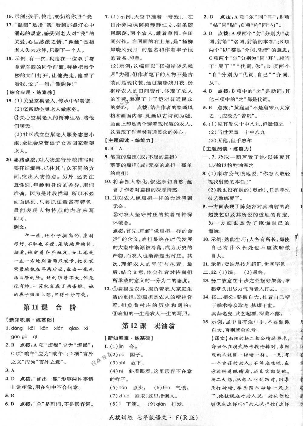 2018年點(diǎn)撥訓(xùn)練七年級(jí)語(yǔ)文下冊(cè)人教版 第13頁(yè)