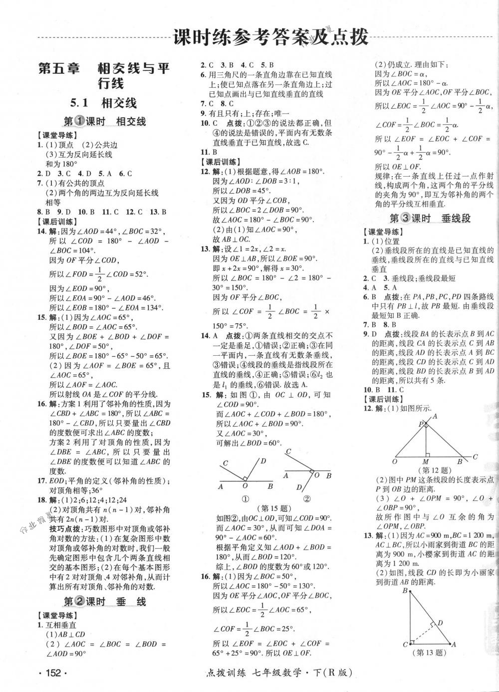 2018年點撥訓(xùn)練七年級數(shù)學(xué)下冊人教版 第7頁