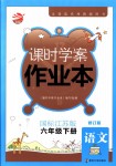 2018年金鑰匙課時學案作業本六年級語文下冊國標江蘇版