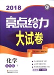 2018年亮點給力大試卷九年級化學下冊新課標全國版