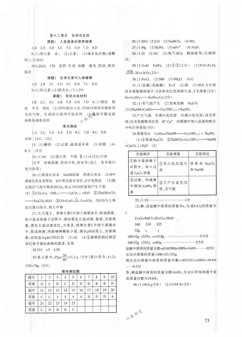 2018年化學(xué)配套綜合練習(xí)九年級(jí)下冊(cè)人教版 第4頁(yè)