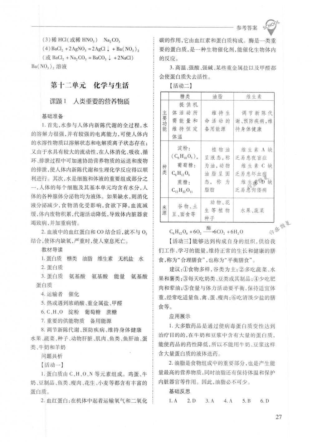 2018年新课程问题解决导学方案九年级化学下册人教版 第27页