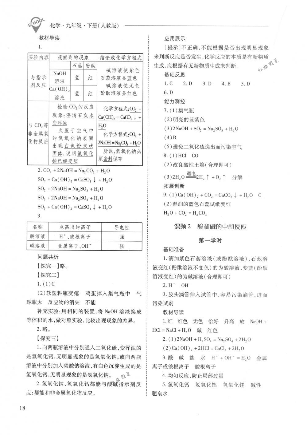 2018年新课程问题解决导学方案九年级化学下册人教版 第18页